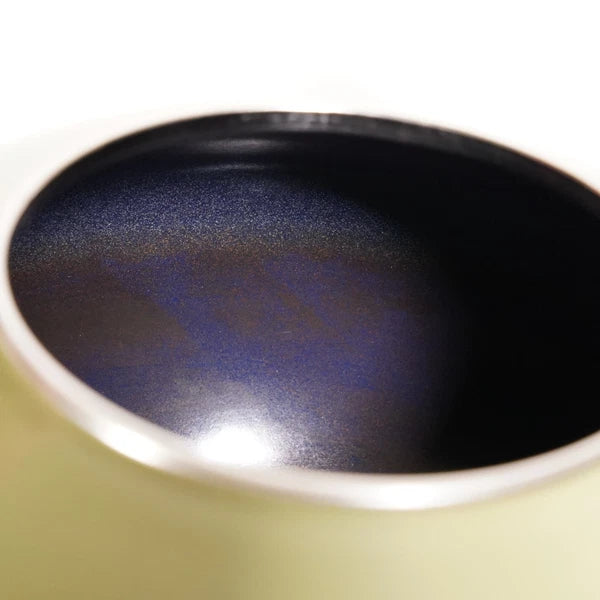 Chantal 2qt Tea Kettle Avocado Green Enamel On Steel MCM Vintage Style READ