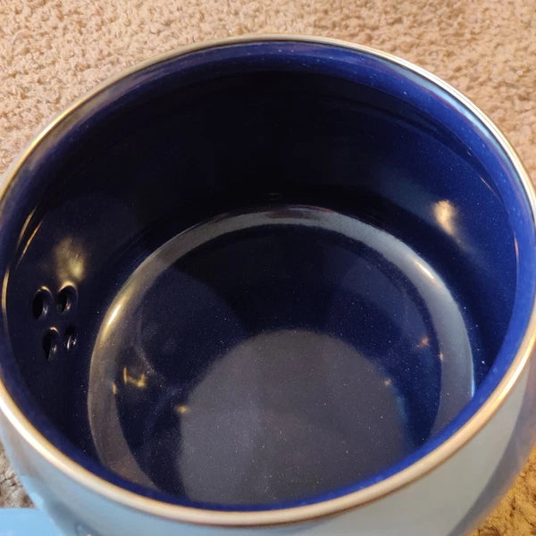 Vintage Siam Fujiware Light Blue Enamel Two Quart Kettle