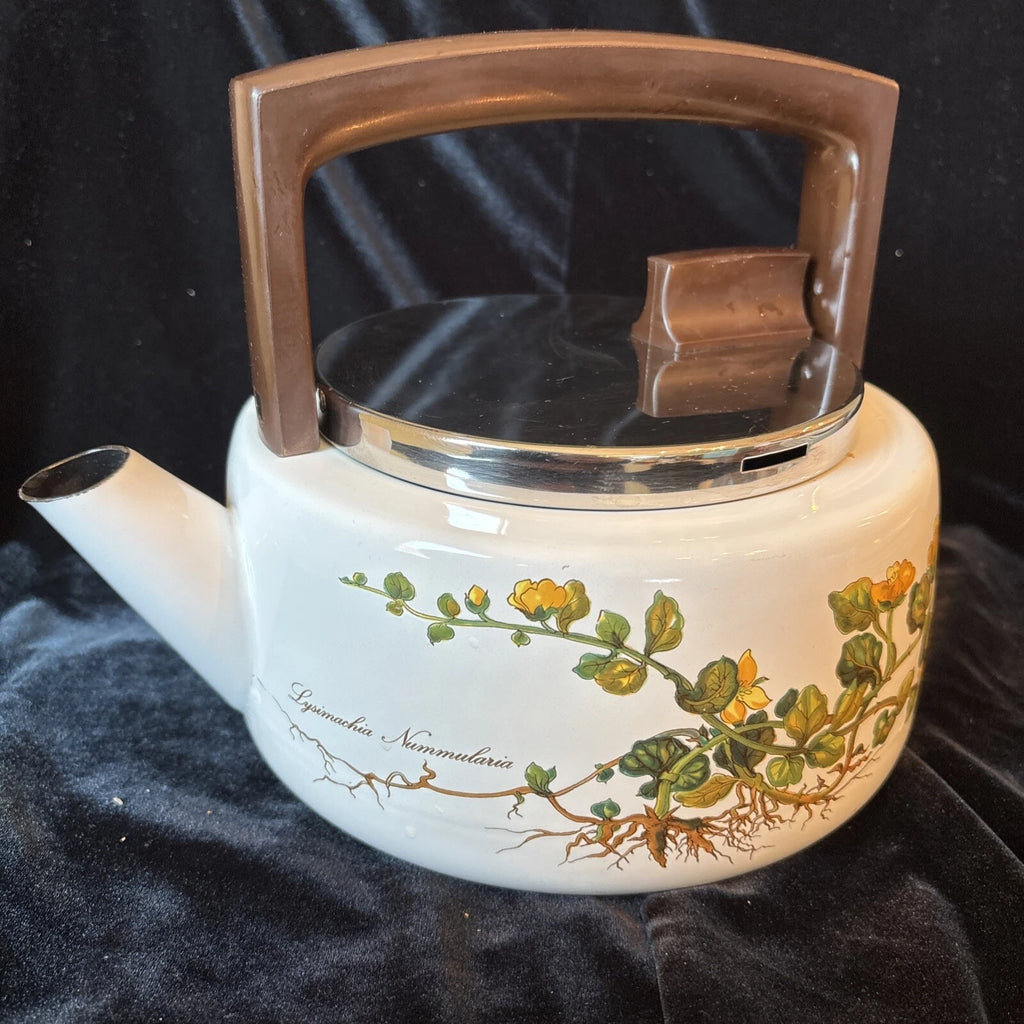 Vintage Villeroy & Boch Botanical Metal Teapot Kettle West Germany