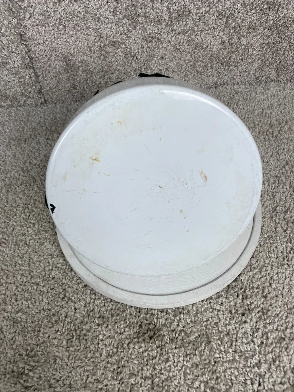 Via Ancona English Garden Enamel 10" Whistling Tea Kettle Green Ivy White