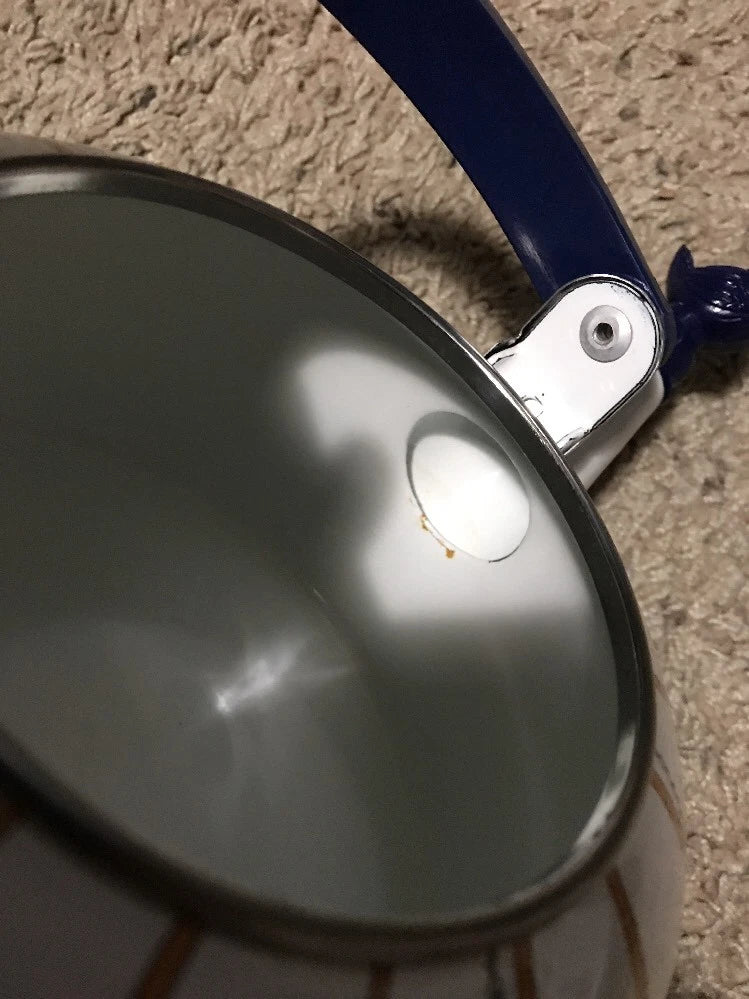 VINTAGE WHITE ENAMEL COFFEE POT Robin/ Blue Bird In A Cage