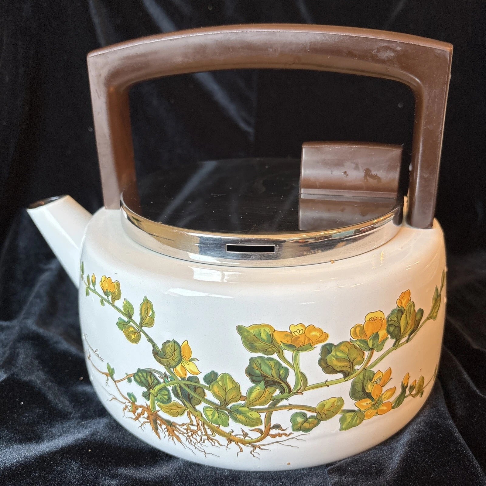 Vintage Villeroy & Boch Botanical Metal Teapot Kettle West Germany