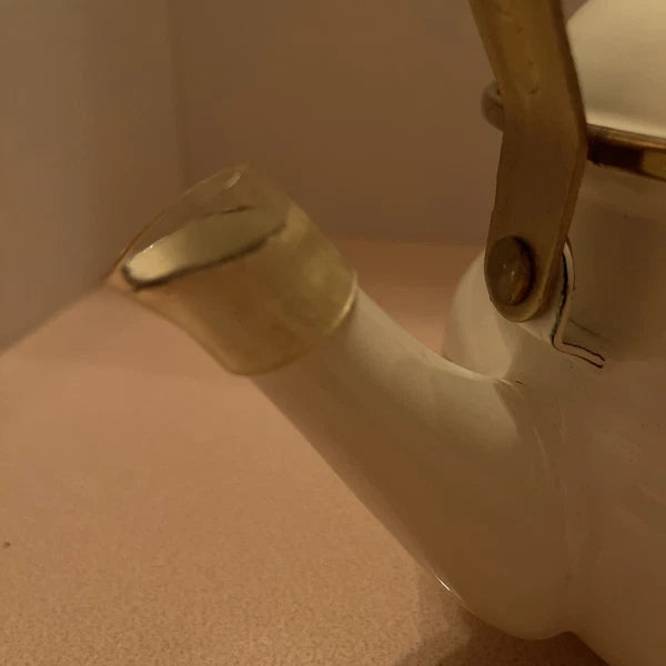 NIB Vntg  Gailstyn-Sutton Jardine Moriposa Iris Porcelain Enamel Tea Kettle 2qt