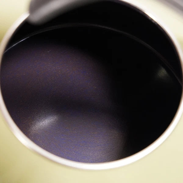 Chantal 2qt Tea Kettle Avocado Green Enamel On Steel MCM Vintage Style READ